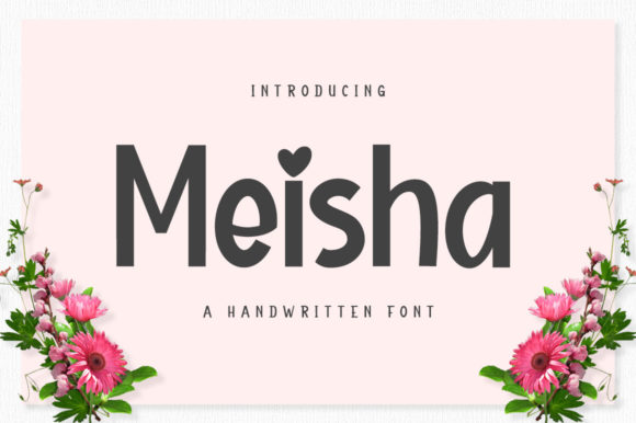 Meisha: A Designer’s Honest Review for Branding
