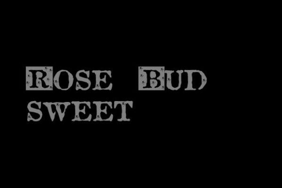 Rose Bud Sweet: A Bold Display Font for Web Design